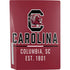 University of South Carolina Columbia SC, EST. 1801 PS5 Console Skin
